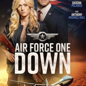 Air Force One Down VF Film Streaming 100% gratuit sur netfilms.fr Netflix Free