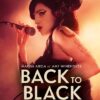 Back to Black VF Film Streaming 100% gratuit sur xvide.fr Netflix Free